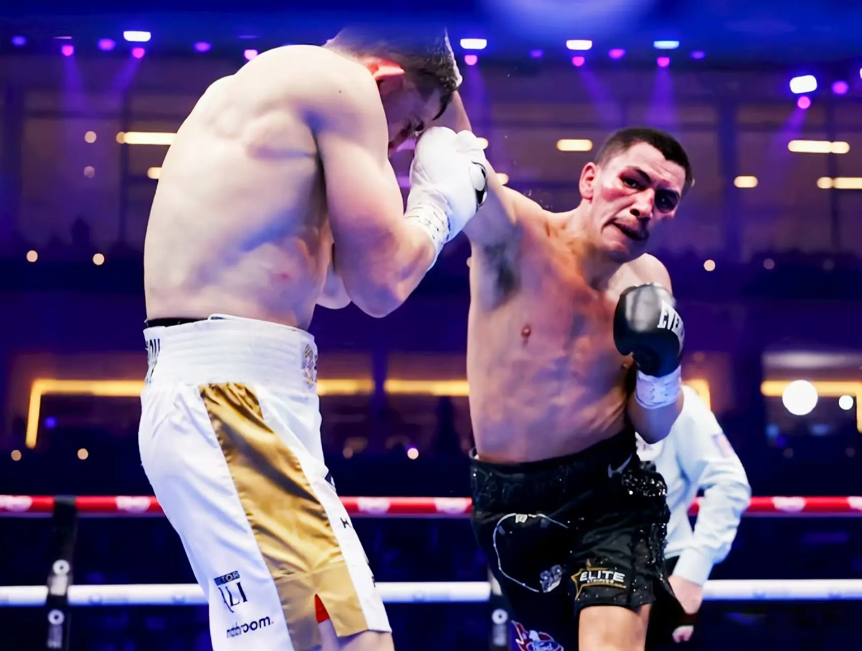 让我们在新, 劳福德选择, https 让我们在新, 劳福德选择, https